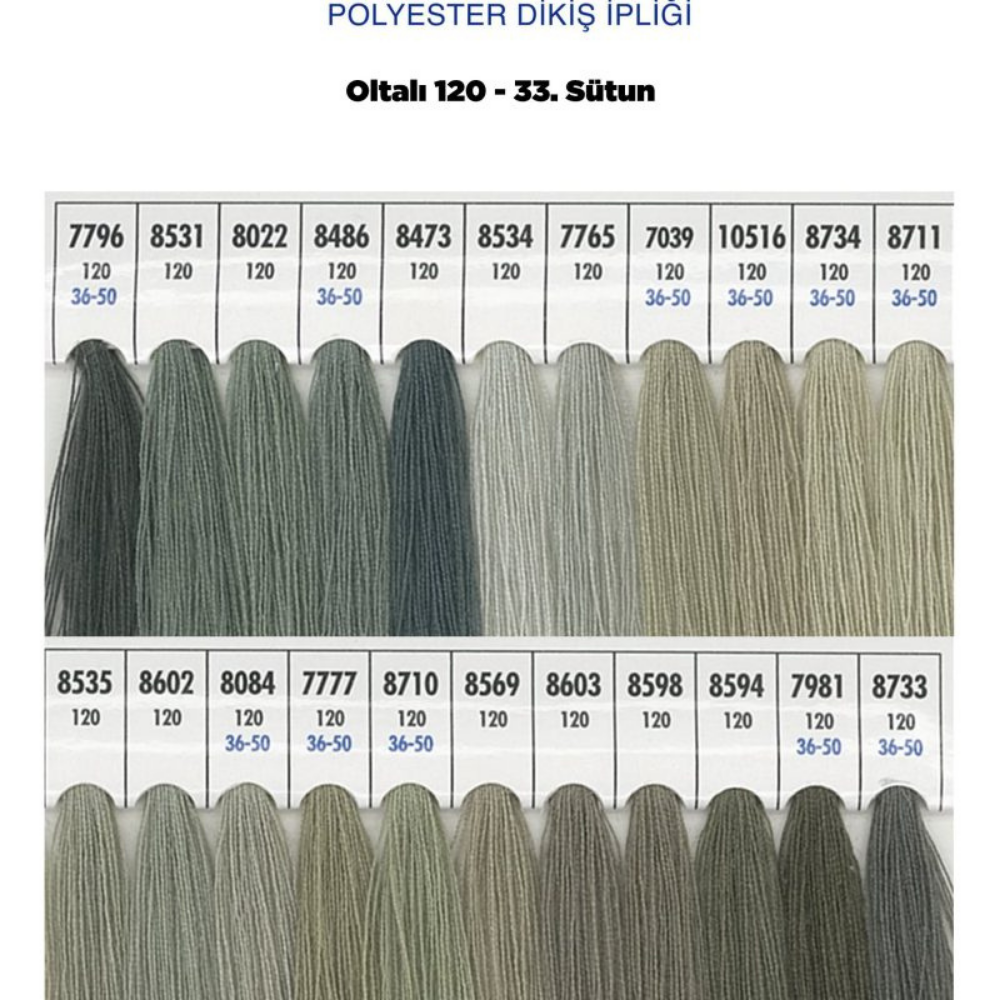 OLTALI 50 NO 33. SÜTUN