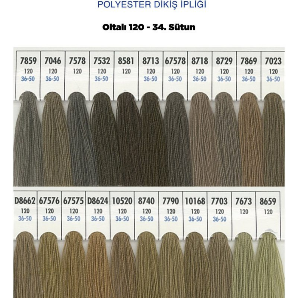 OLTALI 50 NO 34. SÜTUN