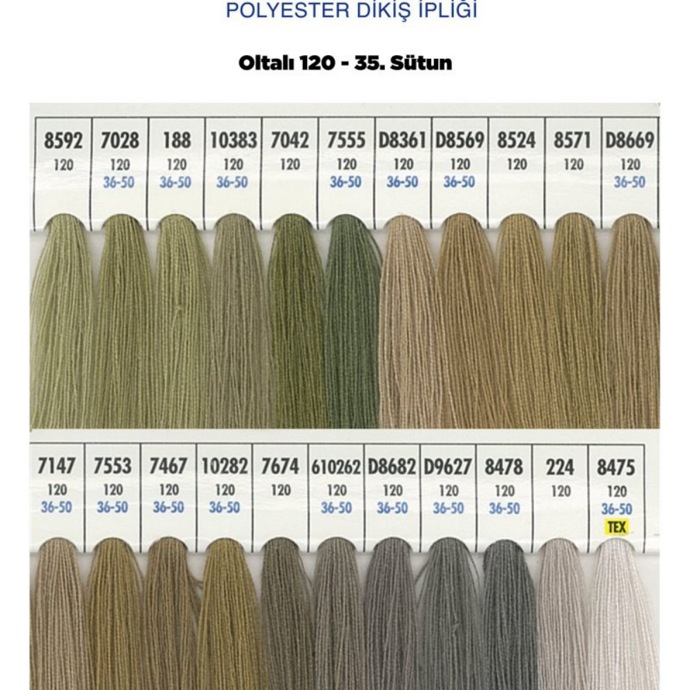 OLTALI 50 NO 35. SÜTUN