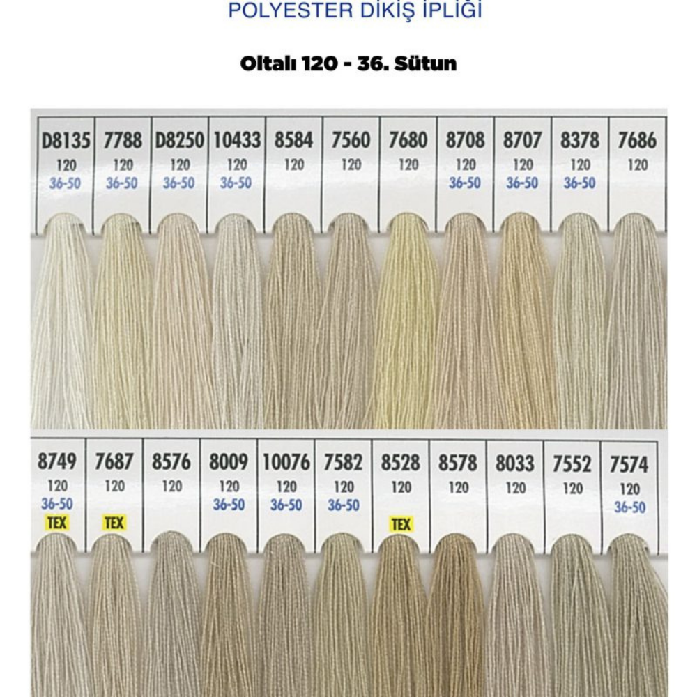 OLTALI 50 NO 36. SÜTUN