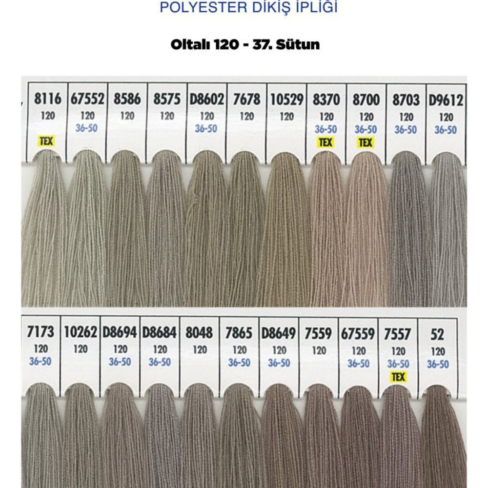 OLTALI 50 NO 37. SÜTUN