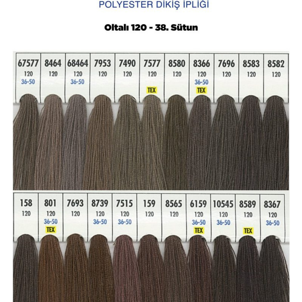 OLTALI 50 NO 38. SÜTUN