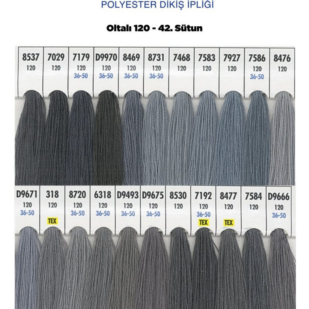 OLTALI 50 NO 42. SÜTUN