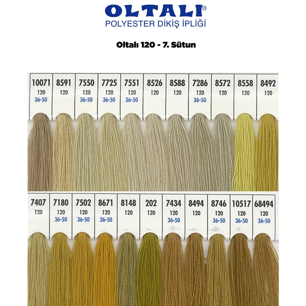 OLTALI 50 NO 7. SÜTUN