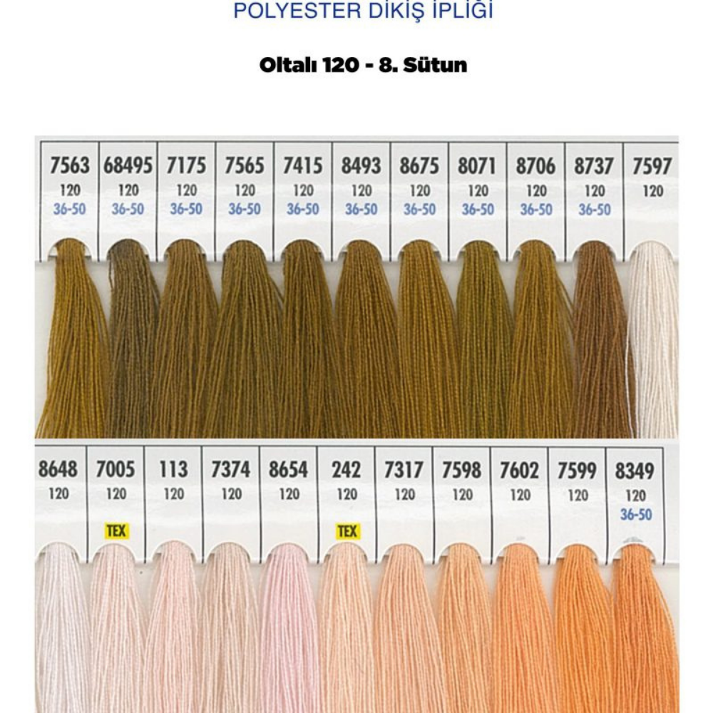 OLTALI 50 NO 8. SÜTUN