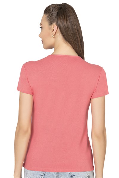 Kadın Nakış Detaylı Kısa Kol Pamuklu Bluz | Somon 21191