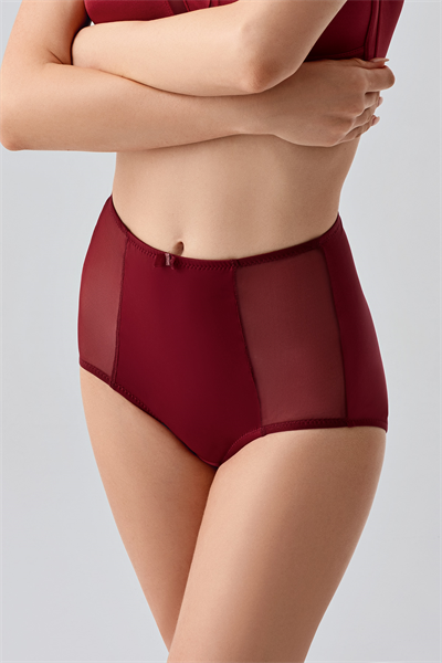 Kadın Tül Detay Yüksel Bel Korseli Bato Külot | Bordo 9304