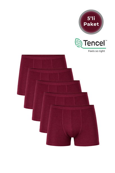 5li Paket Erkek İnce Bel Modal Boxer | Bordo K11897