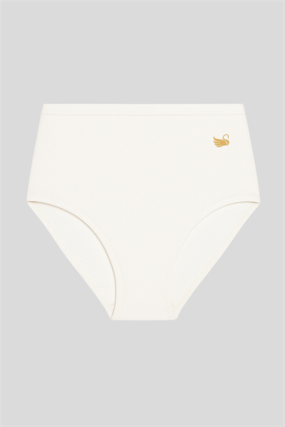 4lü Paket Kadın Pamuklu Modal Bato Yüksek Bel Külot | Asorti K23922