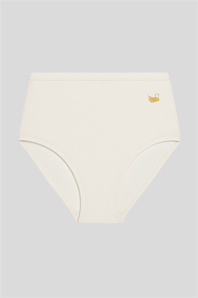 4lü Paket Kadın Pamuklu Modal Bato Yüksek Bel Külot | Asorti K23922