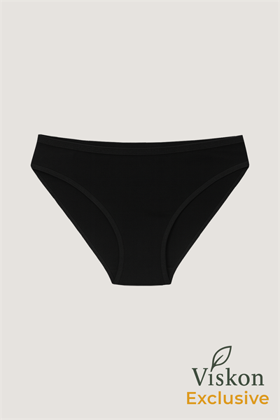 4lü Paket Kadın Viskon Esnek Yumuşak Slip Külot | K23926