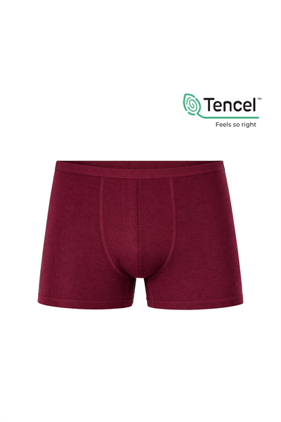 5li Paket Erkek İnce Bel Modal Boxer | Bordo K11897