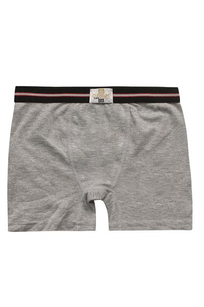 Erkek Çocuk  Pamuklu Esnek Yumuşak Boxer Şort | Gri Melanj K0711