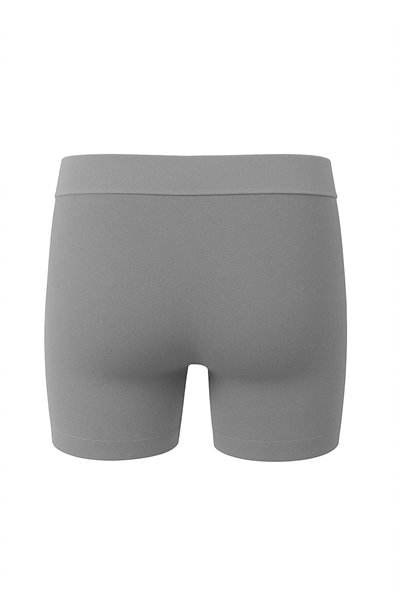 Erkek Dikişsiz Boxer | Gri 1023