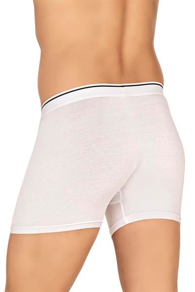 Erkek Modal Pamuklu Boxer Şort | Beyaz K11256