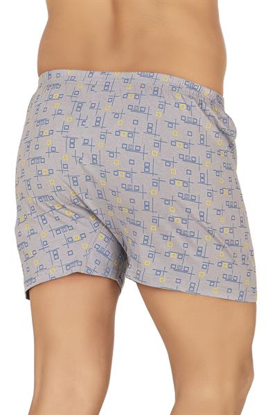 Erkek Pamuklu Desenli Boxer | 11810