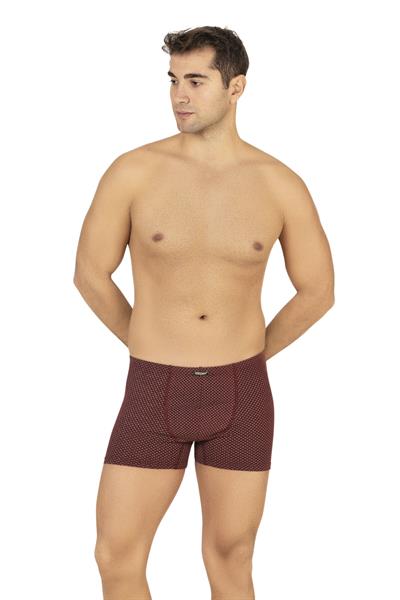 Erkek Pamuklu Likralı Modal Desenli Boxer | 11113