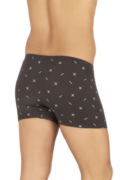 Erkek Pamuklu Likralı Modal Desenli Boxer | 11113