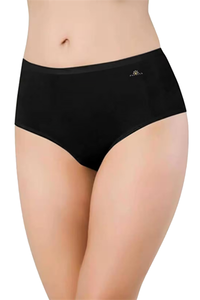 Kadın Pamuklu Yüksel Bel Modal Külot | Siyah 1851