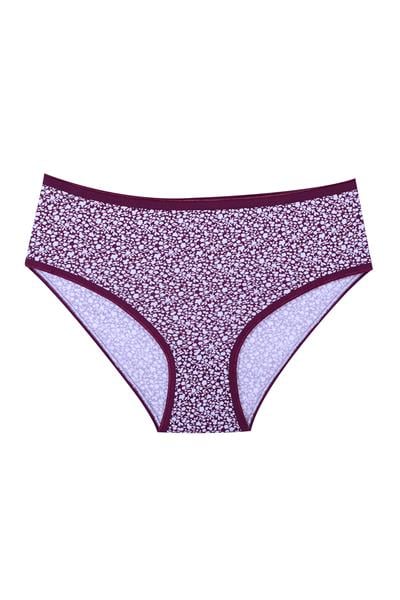 Pamuklu Yüksek Bel Üçlü Bato Külot | Varyant 2 25804