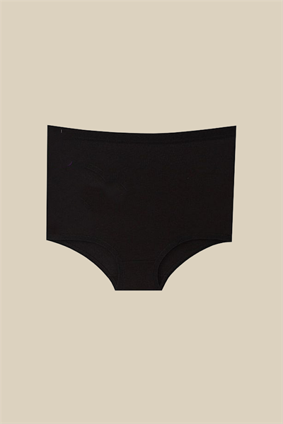 Yüksek Bel Toparlayıcı Modal Külot | Siyah 4364