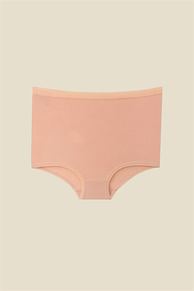 Yüksek Bel Toparlayıcı Modal Külot | Ten 4364