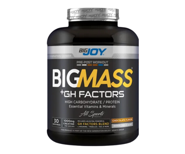 BIGMASS Gainer GH FACTORS Çikolata 3000g