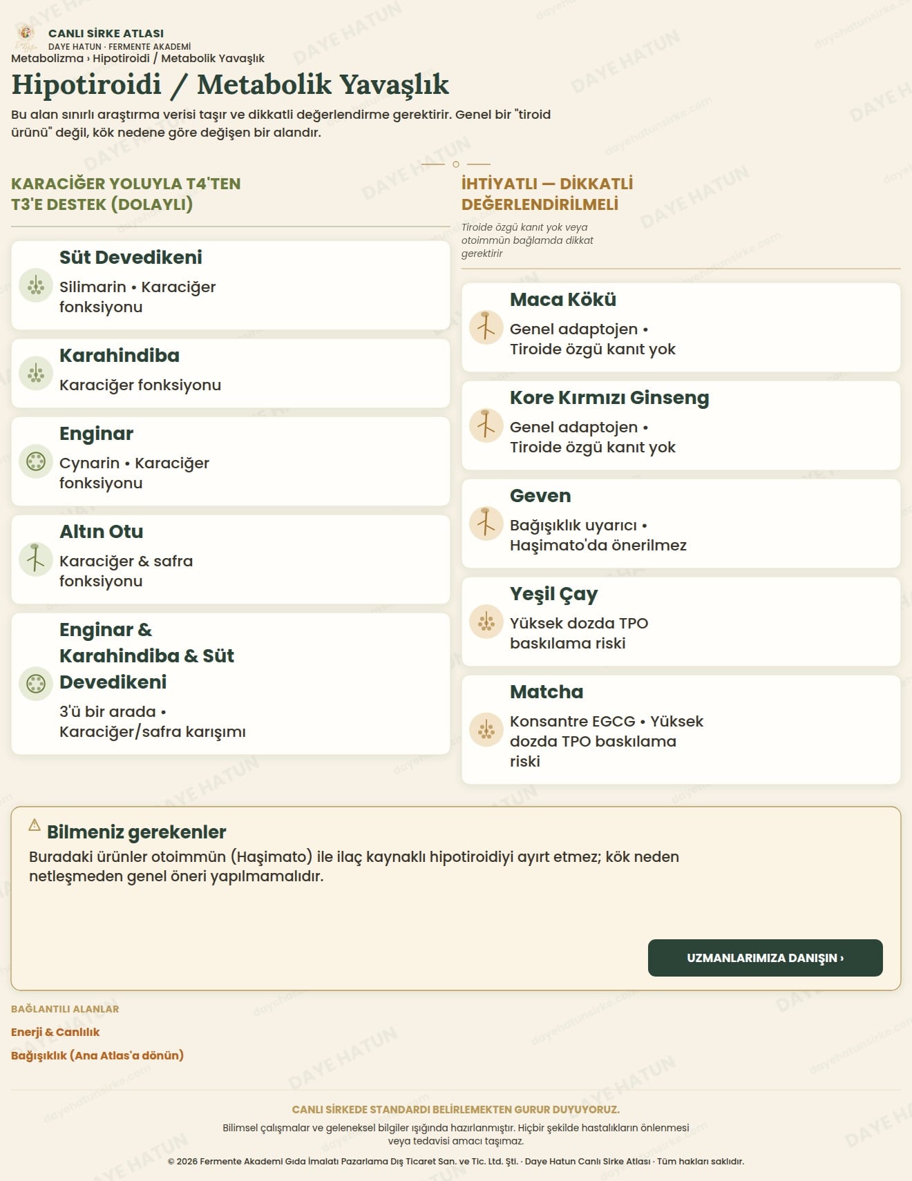 Hipotiroidi / Metabolik Yavaşlık