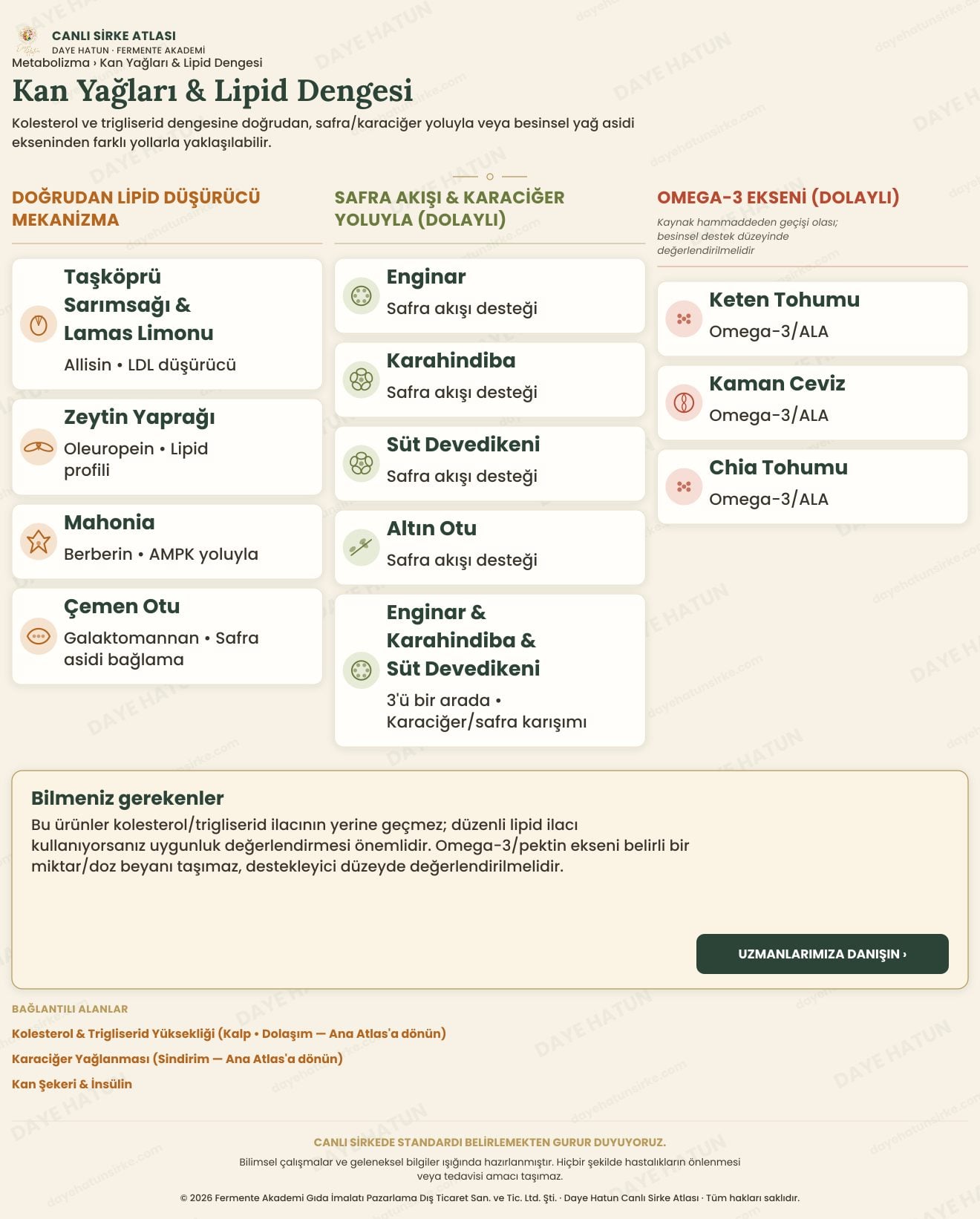 Kan Yağları & Lipid Dengesi