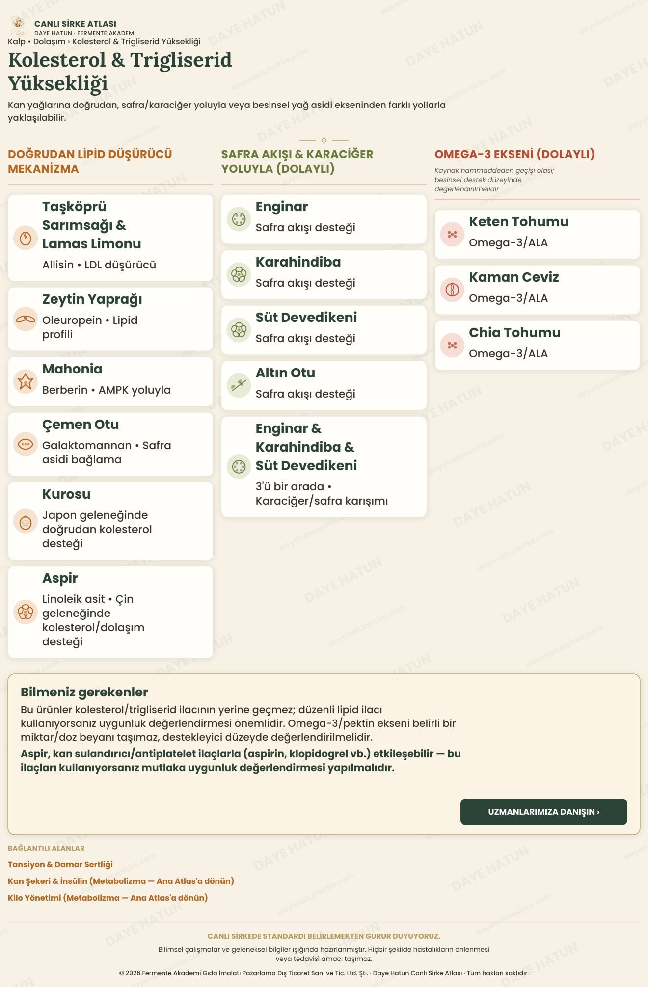 Kolesterol & Trigliserid Yüksekliği