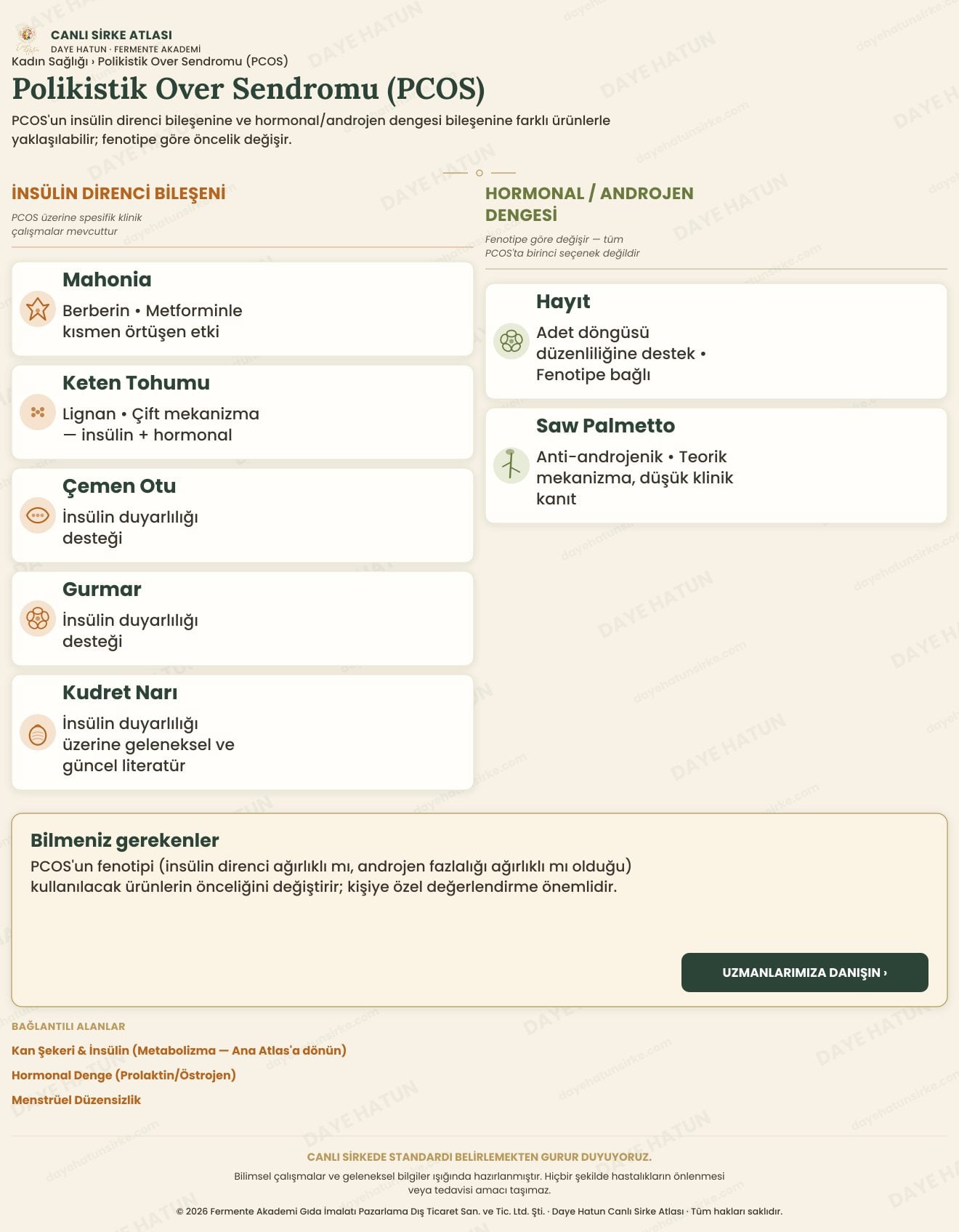 Polikistik Over Sendromu (PCOS)