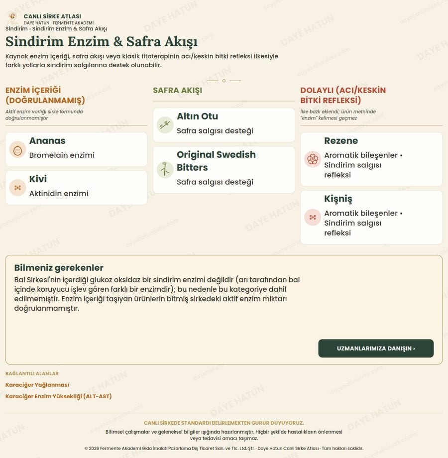 Sindirim Enzim & Safra Akışı