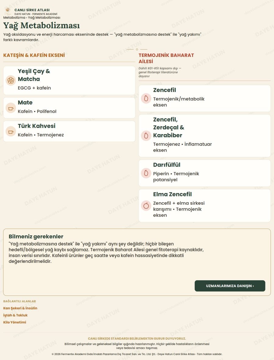 Yağ Metabolizması