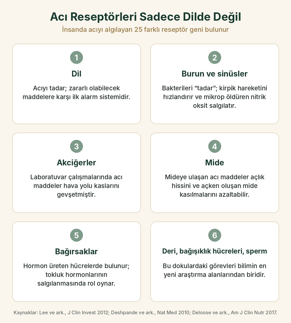 Acı tat reseptörlerinin bulunduğu yerler: dil, burun ve sinüsler, akciğerler, mide, bağırsaklar, deri, bağışıklık hücreleri ve sperm