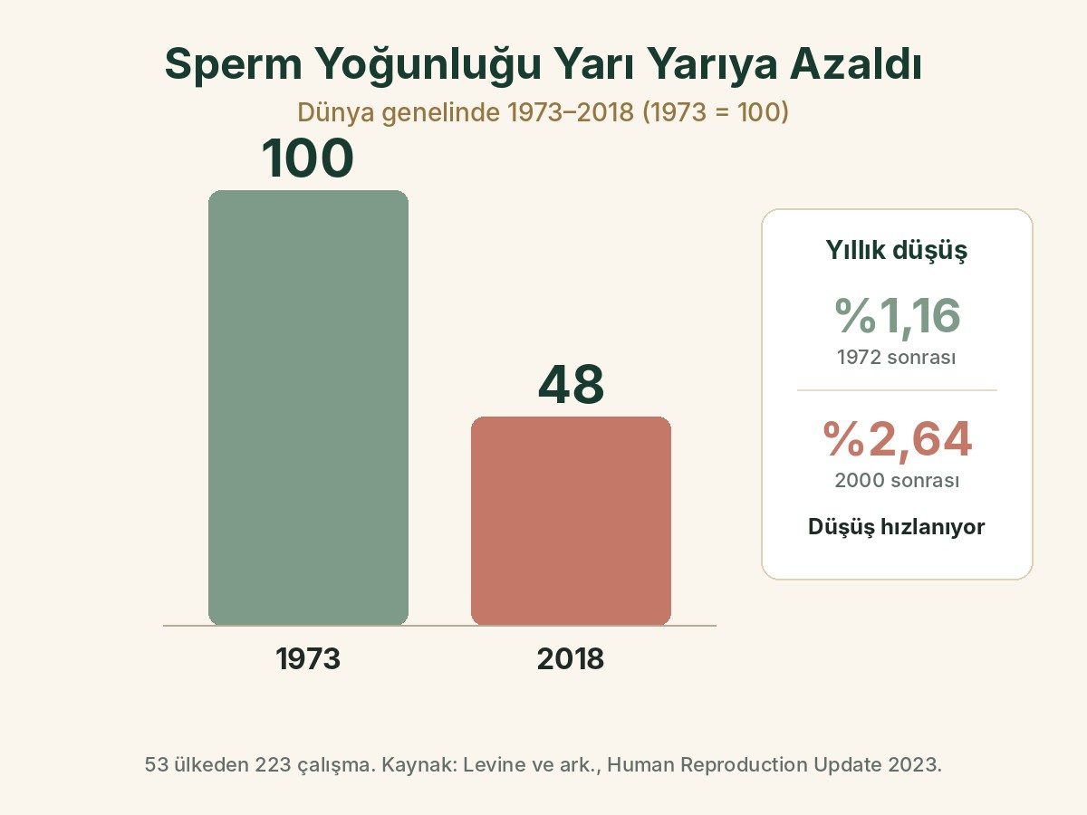 1973'ten 2018'e dünyada sperm yoğunluğunun yüzde 52 azaldığını gösteren grafik