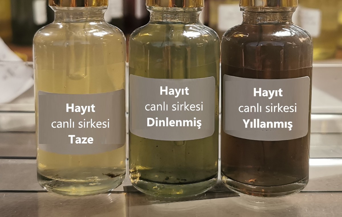 Taze, dinlenmiş ve yıllanmış hayıt canlı sirkesi yan yana: açıktan koyuya sisli griye doğru geçiş