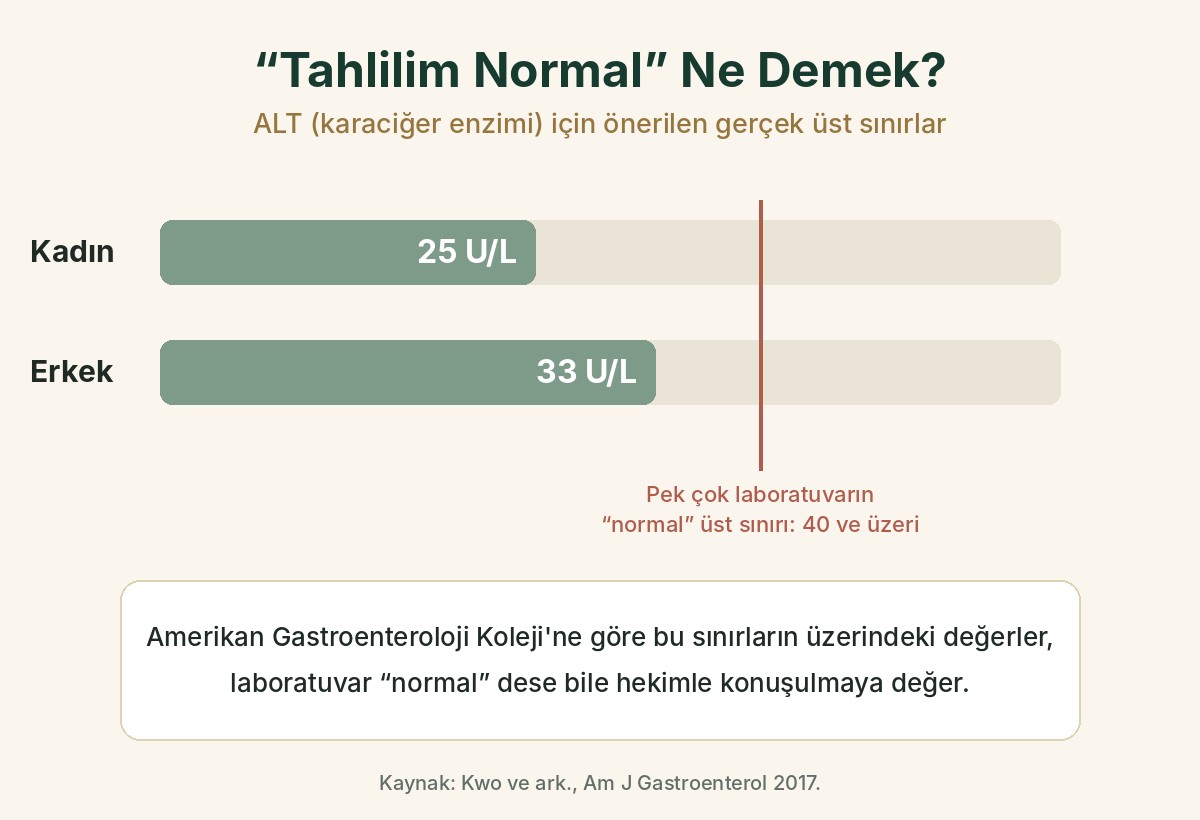 ALT için önerilen üst sınırlar: kadınlarda 25, erkeklerde 33 U/L; pek çok laboratuvarın normal üst sınırı 40 ve üzeri