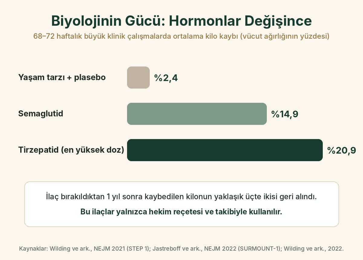 Büyük klinik çalışmalarda ortalama kilo kaybı: yaşam tarzı ve plasebo yüzde 2,4, semaglutid yüzde 14,9, tirzepatid yüzde 20,9