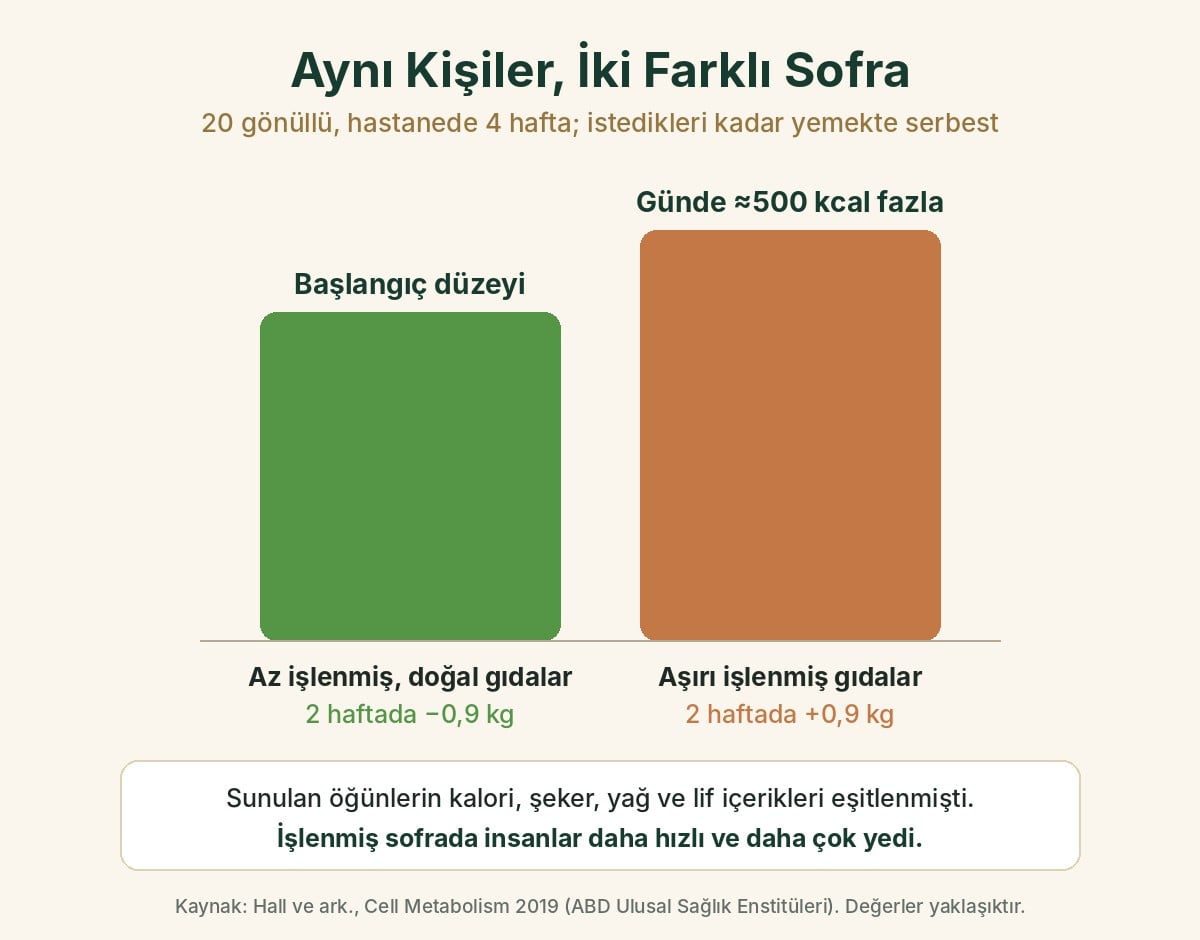 Aynı kişiler iki farklı sofrada: aşırı işlenmiş gıdalarla günde yaklaşık 500 kalori fazla alındı ve iki haftada yaklaşık 0,9 kilo alındı