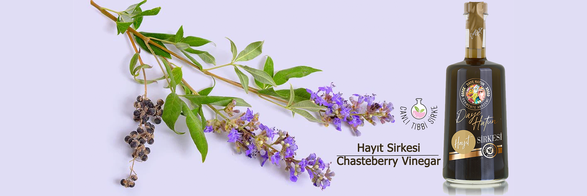 Chasteberry