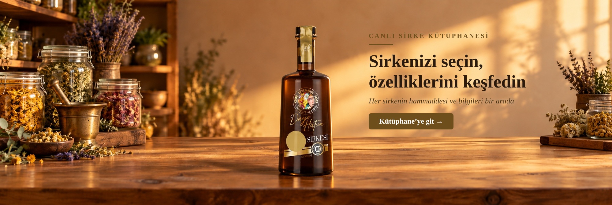 Daye Hatun Canlı Sirke Kütüphanesi