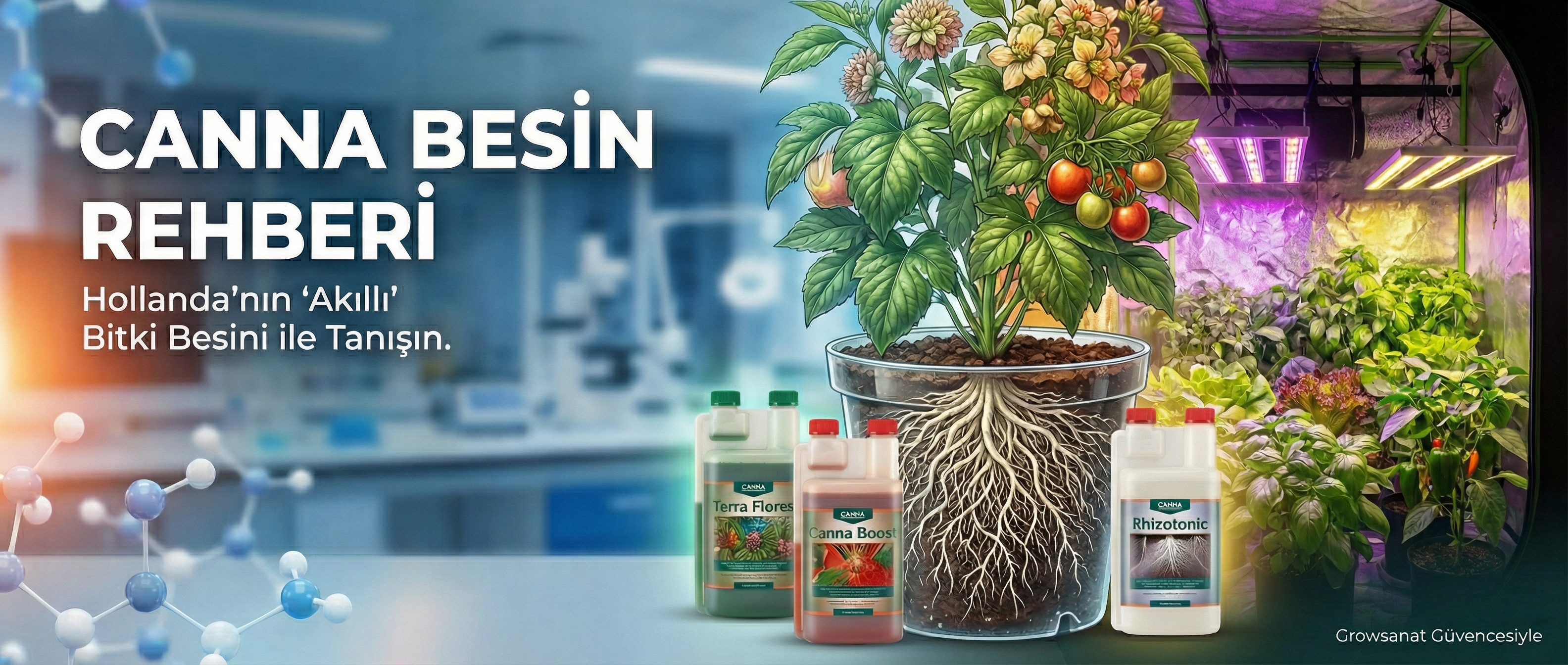 Canna Gübre Rehberi: Hollanda'nın 