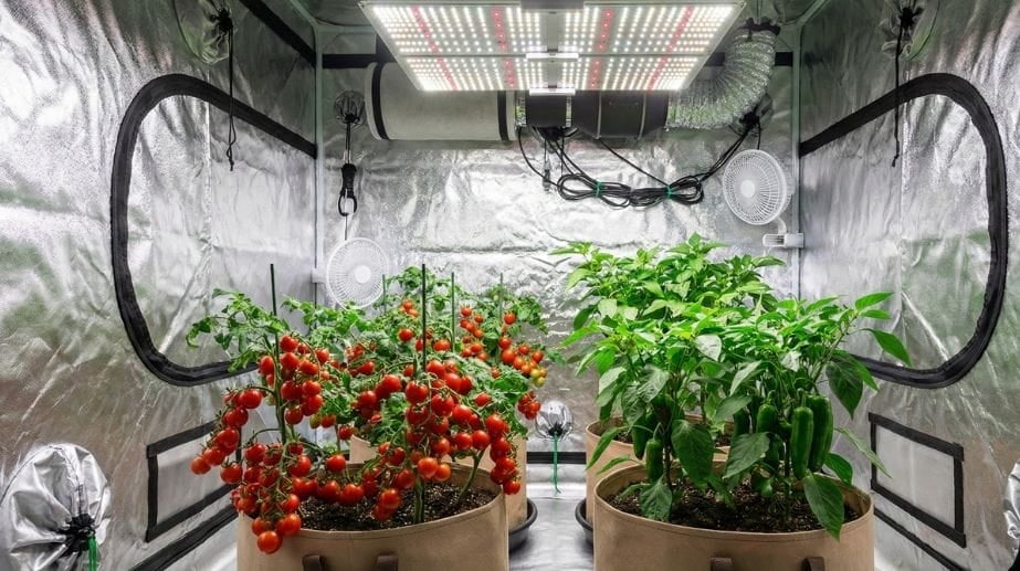 Grow çadırı soğutma sistemi led lamba ve havalandırma