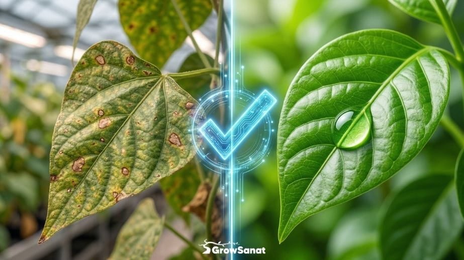 Temel Bitki Hastalıkları