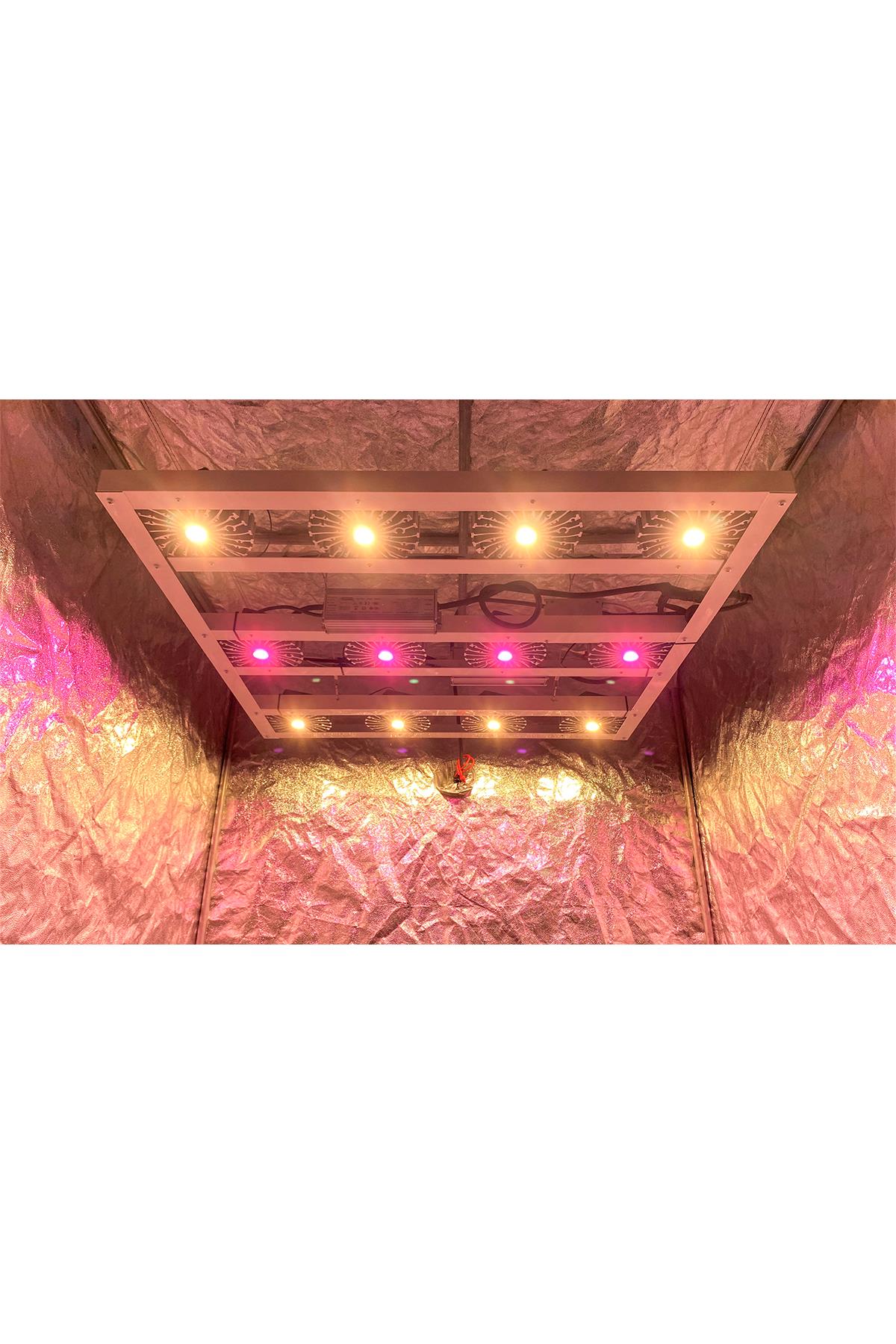 CİTİ 12 PRO 320W Full Spectrum Grow Led Lamba Fiyatı | GrowSanat