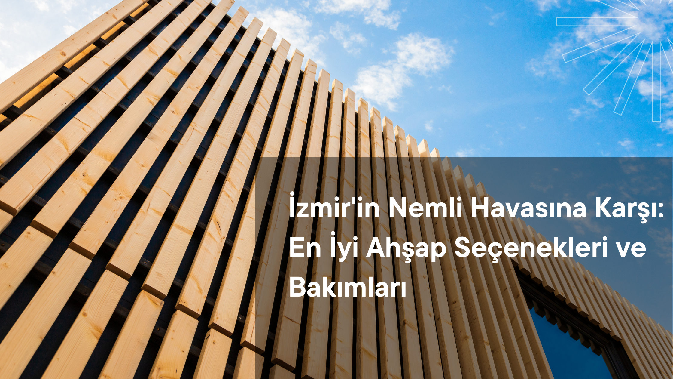 İzmir'in Nemli Havasına Karşı: En İyi Ahşap Seçenekleri ve Bakımları    Taslakları göster