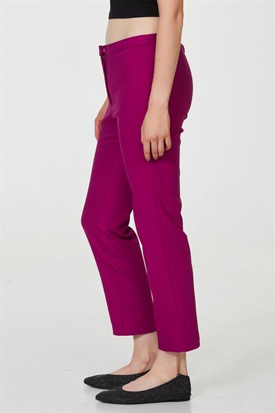 Standart Fit Pantolon 223-3500