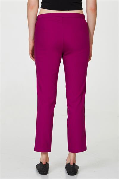 Standart Fit Pantolon 223-3500
