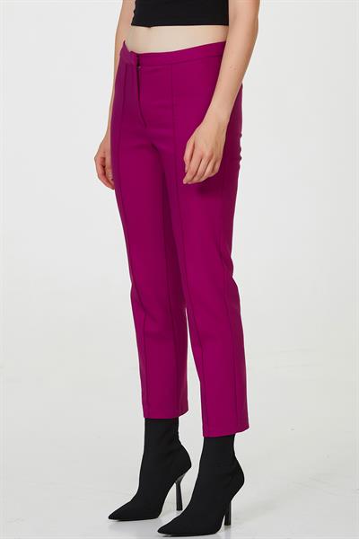 Standart Fit Pantolon 223-3501