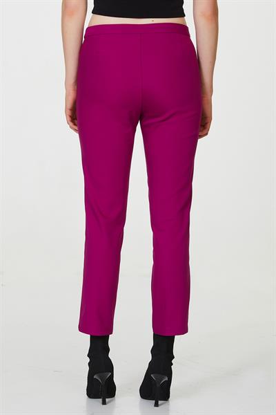 Standart Fit Pantolon 223-3501